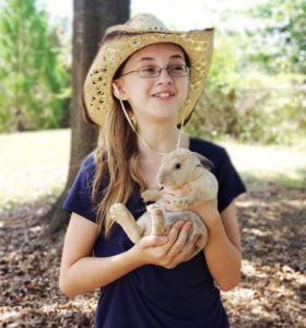 BrookeRabbit